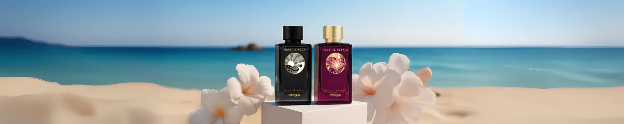 New Launch